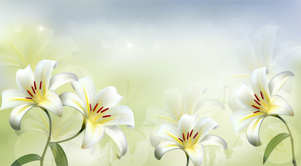 bunga putih yang indah vektor latar belakang