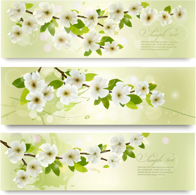 bunga-bunga putih yang indah vektor banner