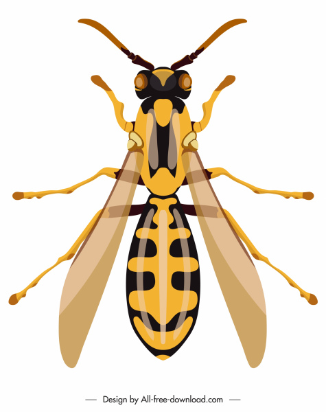 蜜蜂昆虫图标五颜六色的特写对称设计