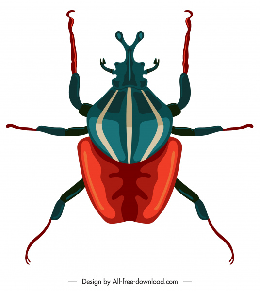 甲虫昆虫图标彩色特写对称设计
