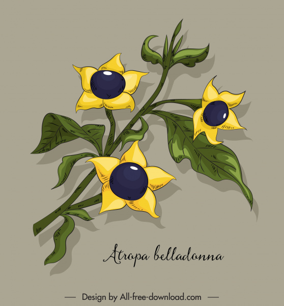 ベラドンナ花のアイコン色の古典的な手描きスケッチ