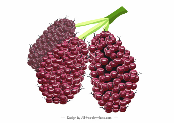 Berries buah ikon desain berwarna mengkilap lebat sketsa