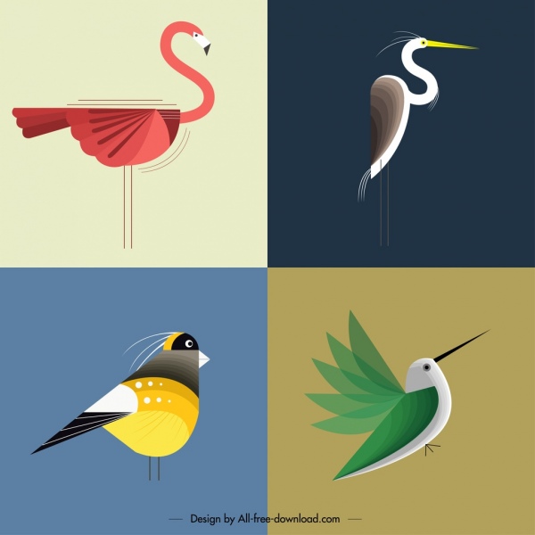 modelli di sfondo uccello colorato design piatto classico