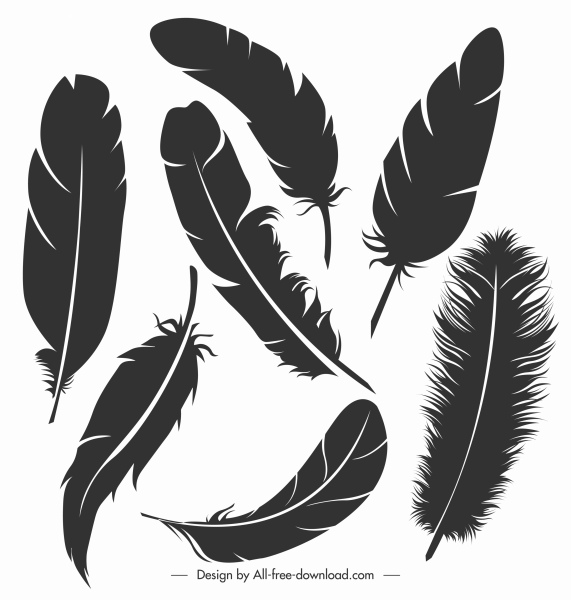 iconos de pluma de pájaro negro silueta bosquejo