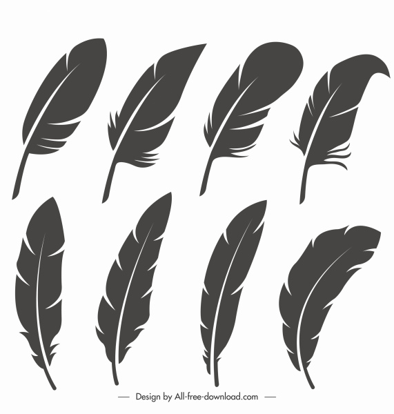 plumas de pájaro iconos negro blanco dibujado bosquejo