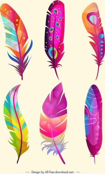 plumas de pájaro colorido diseño mullido de los iconos