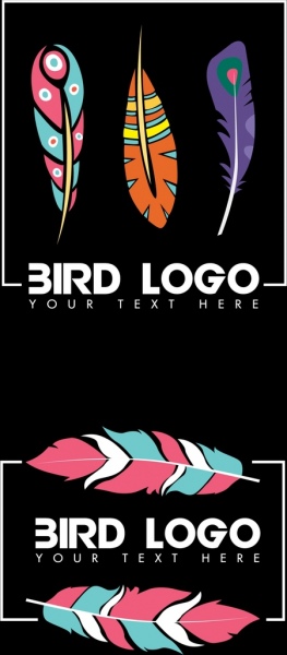 burung bulu logo set ikon datar warna-warni dekorasi