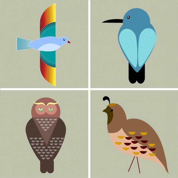 Pássaros, coleção de ícones vários tipos coloridos lisos