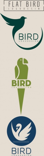 Kolekcja logo ptaków, które różne kolorowe płaskie projektowanie