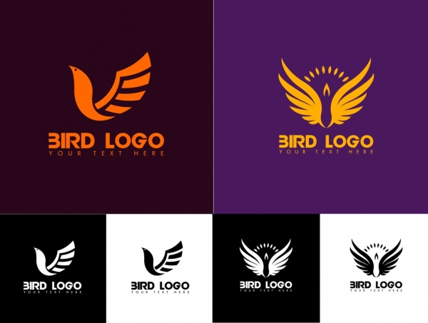 Vogel-Logo setzt Flügel-Dekoration, die verschiedenen skizzieren