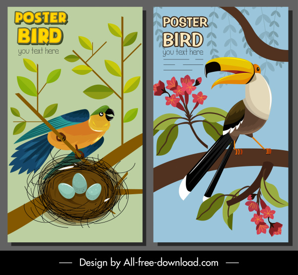 الطيور قالب ملصق الببغاء toucan رسم الكلاسيكية الملونة
