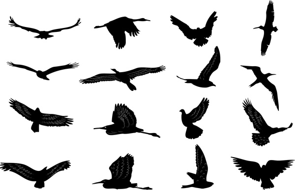 Коллекция силуэтов птиц