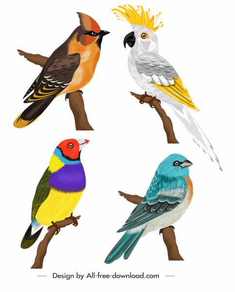 kuş türleri simgeleri renkli klasik eskiz