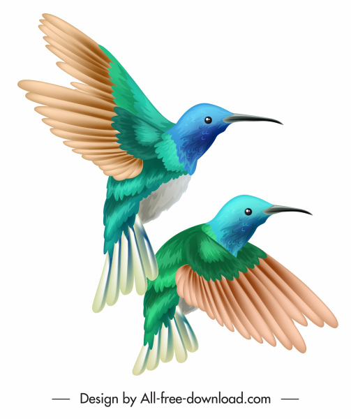 couple d’oiseaux peinture coloré classique décor