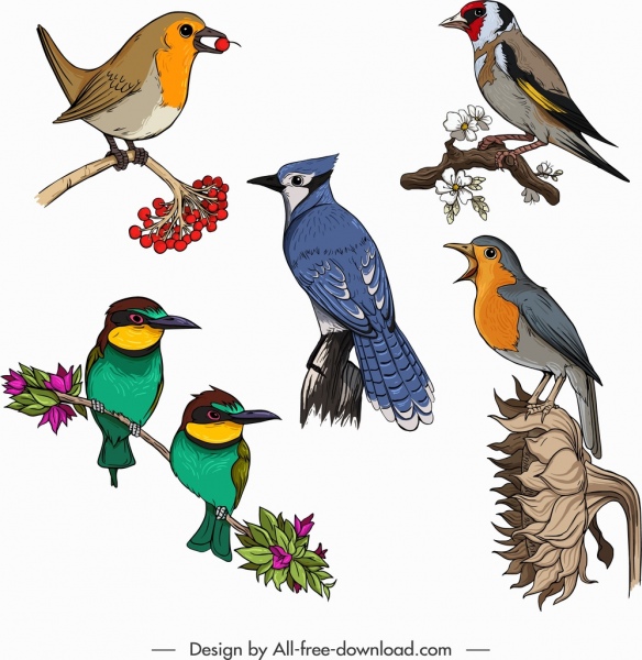 pássaros criaturas ícones esboço clássico colorido