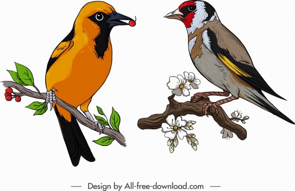ícones de pássaros colorido tailorbird esboço do pardal