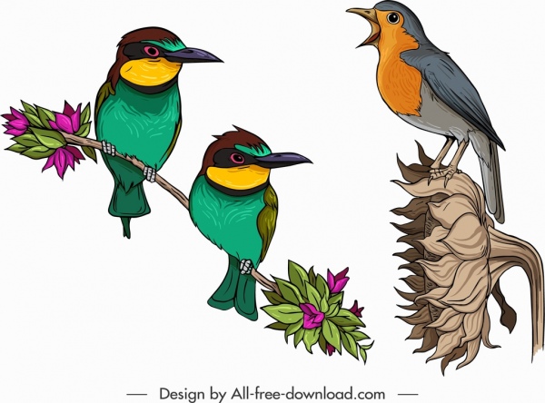 oiseaux icônes moineau fleurpecker croquis design coloré