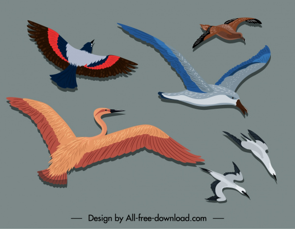 burung melukis desain gerakan sketsa datar berwarna-warni