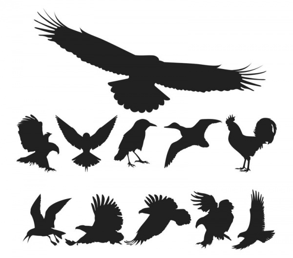 oiseaux silhouette vectoriel pack libre cdr vecteurs art