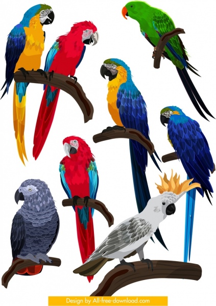 Vögel Arten Sammlung Papagei Eule Ikonen bunte sonnen