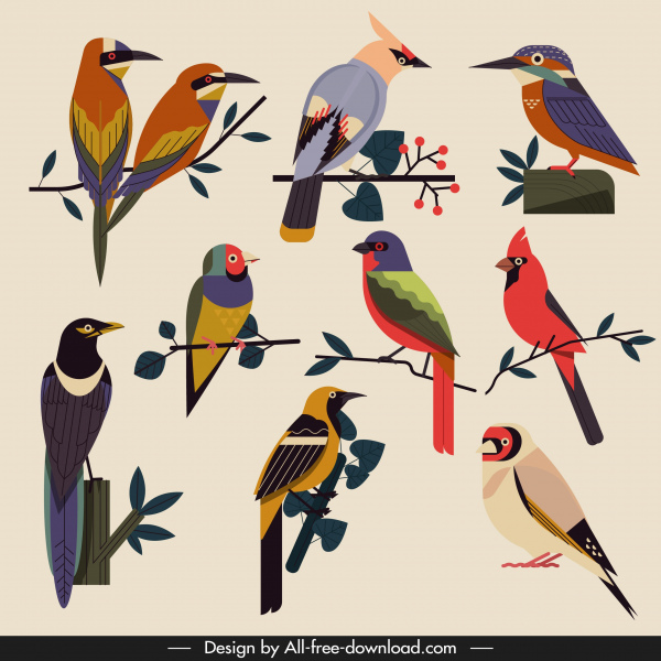 uccelli specie icone classico multicolore schizzo piatto