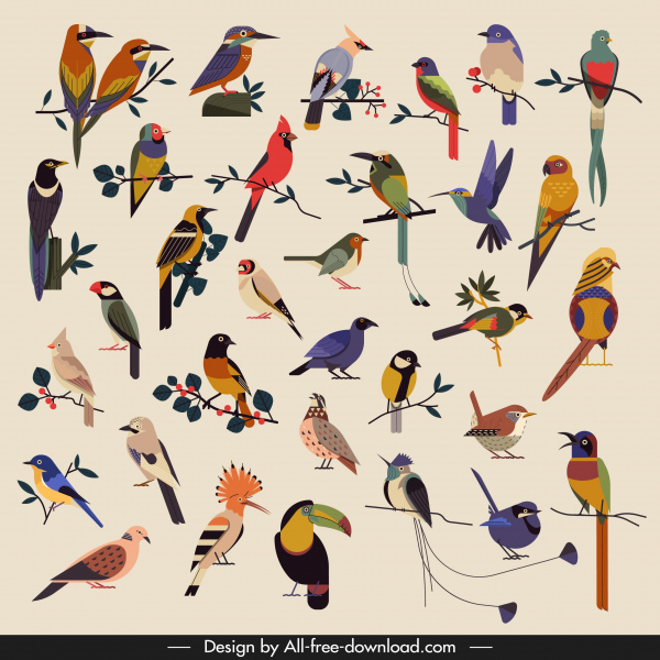 uccelli specie icone collezione colorato schizzo classico