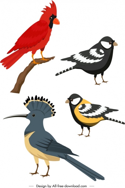 पक्षी प्रजाति आइकन रंगीन कार्टून स्केच