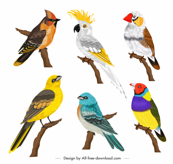 Птицы виды иконки красочный мультяшный скетч -2