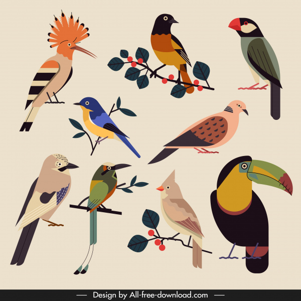 uccelli specie icone colorato design classico