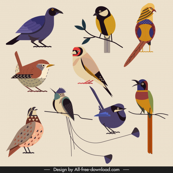 鸟类物种图标五颜六色的古典栖息素描