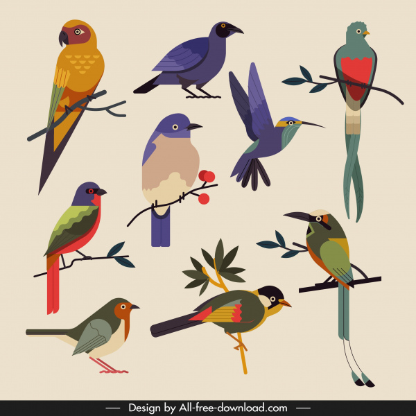 burung spesies ikon berwarna-warni klasik sketsa