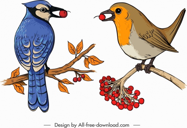 Burung spesies ikon warna-warni klasik sketsa bertengger gerakan
