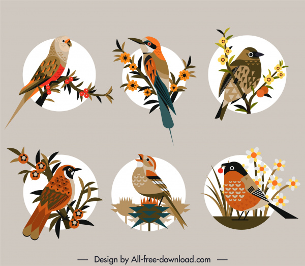 ptaki gatunki ikony kolorowe płaskie retro perching szkic