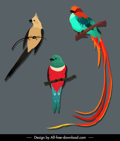 aves especies iconos colorido loro canario faisán boceto