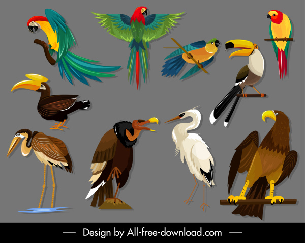 Pássaros espécies ícones coloridos esboço
