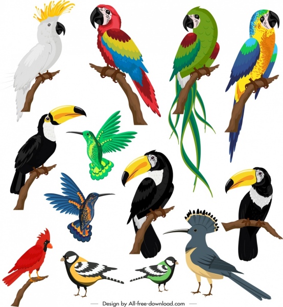 Birds Species Icons Colorful Sketch -2