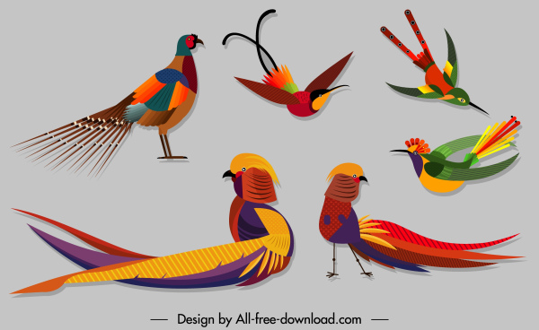 ícones espécie aves coloridos esboço projeto moderno