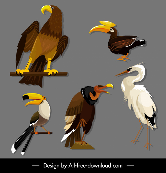 Pássaros espécies ícones águia Toucan cegonha abutre esboço