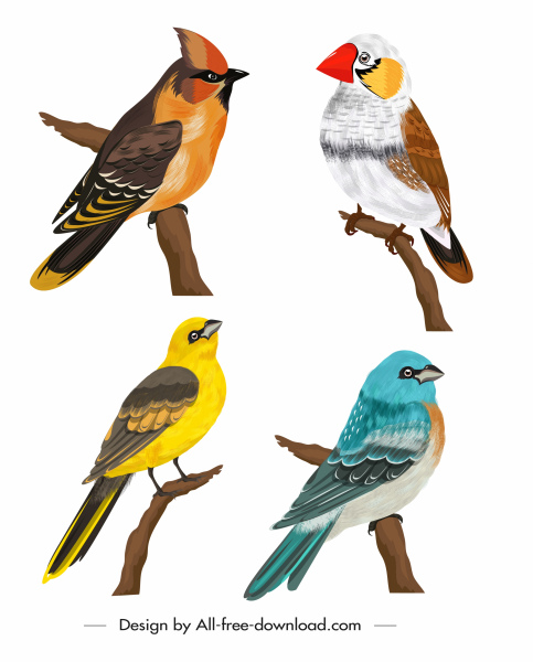 pássaros espécie ícones empoleirado esboço colorido desenho animado