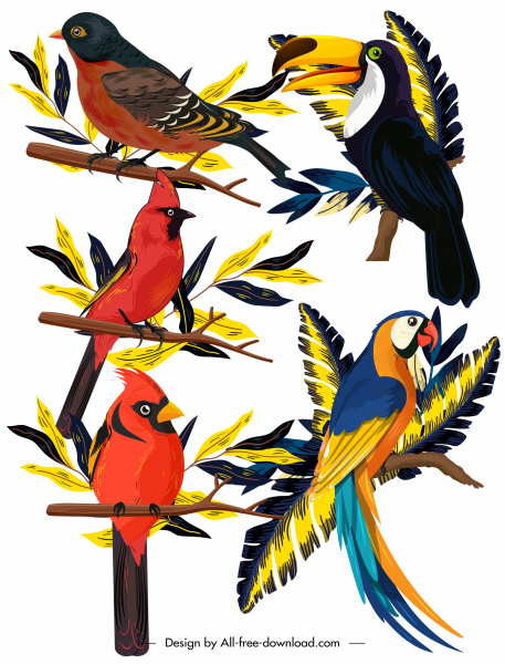 iconos de especies de aves posando boceto colorido diseño clásico