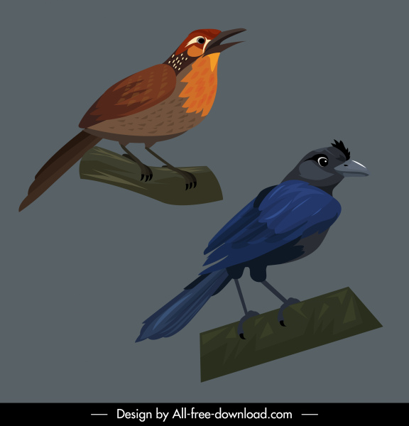 especies de aves iconos cuervo urraca boceto diseño de dibujos animados