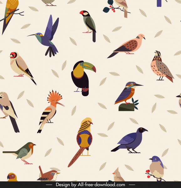 鸟类物种图案五颜六色的古典装饰