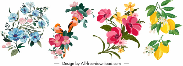 盛开的花卉图标五颜六色的古典装饰
