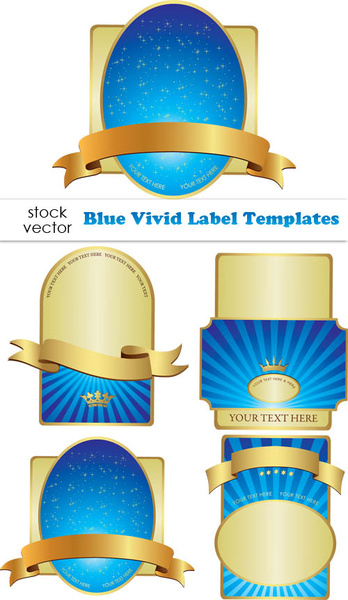 blaue lebendige Label Design Elemente Vektor