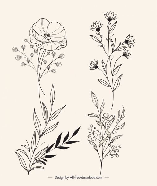 hojas botánicas plantas iconos dibujados a mano boceto