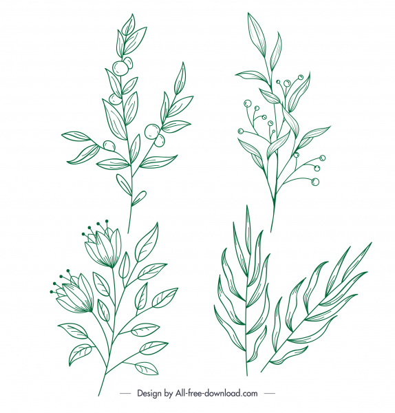 botanische Pflanzen Ikonen klassische handgezeichnete Skizze