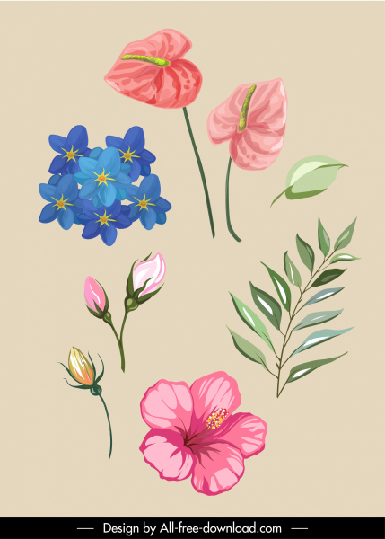 Botanik Design Elemente Blütenblätter Blatt Skizze elegante klassische