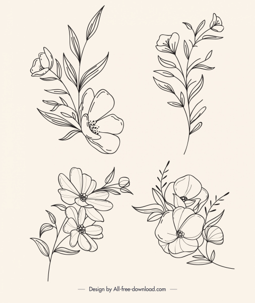 Botanik-Symbole schwarz weiß handgezeichneten Umriss