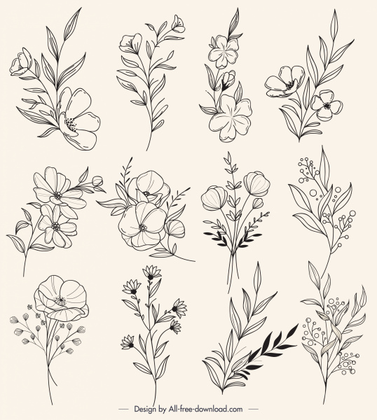 botánica iconos negro blanco retro dibujado a mano boceto