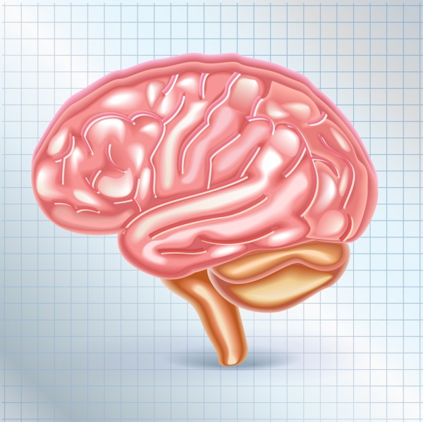 脳のアイコン光沢のあるピンク デザイン